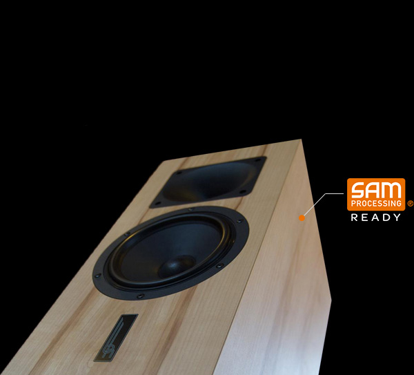 BLUMENHOFER ACOUSTICS TEMPESTA 17 BKS