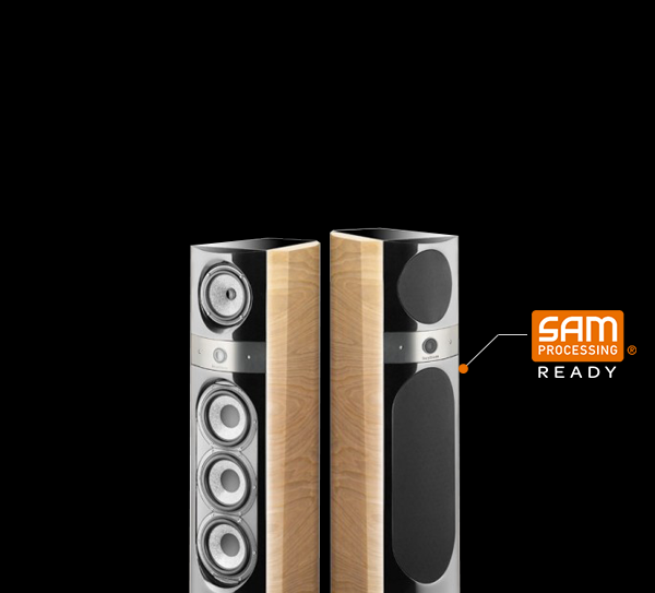 focal aria 905 specs